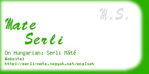 mate serli business card
