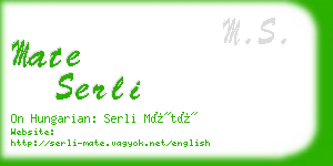 mate serli business card